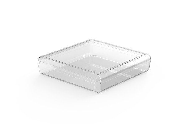 Square, 2000 cc